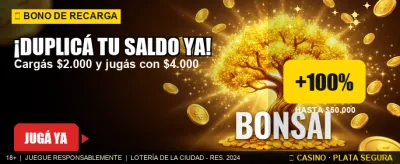 Bono de duplicación de saldo en Stake